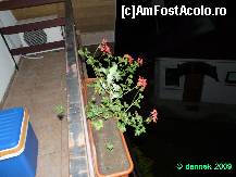 [P06] cealalta parte a balconului » foto by dannek
 - 
<span class="allrVoted glyphicon glyphicon-heart hidden" id="av164896"></span>
<a class="m-l-10 hidden" id="sv164896" onclick="voting_Foto_DelVot(,164896,4984)" role="button">șterge vot <span class="glyphicon glyphicon-remove"></span></a>
<a id="v9164896" class=" c-red"  onclick="voting_Foto_SetVot(164896)" role="button"><span class="glyphicon glyphicon-heart-empty"></span> <b>LIKE</b> = Votează poza</a> <img class="hidden"  id="f164896W9" src="/imagini/loader.gif" border="0" /><span class="AjErrMes hidden" id="e164896ErM"></span>