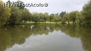 [P02] Imagine cu unul din lacurile de la Complexul Fântâna Crăiesei, oraşul Făgăraş, România.  » foto by traian.leuca †
 - 
<span class="allrVoted glyphicon glyphicon-heart hidden" id="av839281"></span>
<a class="m-l-10 hidden" id="sv839281" onclick="voting_Foto_DelVot(,839281,4997)" role="button">șterge vot <span class="glyphicon glyphicon-remove"></span></a>
<a id="v9839281" class=" c-red"  onclick="voting_Foto_SetVot(839281)" role="button"><span class="glyphicon glyphicon-heart-empty"></span> <b>LIKE</b> = Votează poza</a> <img class="hidden"  id="f839281W9" src="/imagini/loader.gif" border="0" /><span class="AjErrMes hidden" id="e839281ErM"></span>