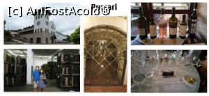 [P04] Purcari wine tasting » foto by Slavic
 - 
<span class="allrVoted glyphicon glyphicon-heart hidden" id="av801436"></span>
<a class="m-l-10 hidden" id="sv801436" onclick="voting_Foto_DelVot(,801436,5014)" role="button">șterge vot <span class="glyphicon glyphicon-remove"></span></a>
<a id="v9801436" class=" c-red"  onclick="voting_Foto_SetVot(801436)" role="button"><span class="glyphicon glyphicon-heart-empty"></span> <b>LIKE</b> = Votează poza</a> <img class="hidden"  id="f801436W9" src="/imagini/loader.gif" border="0" /><span class="AjErrMes hidden" id="e801436ErM"></span>