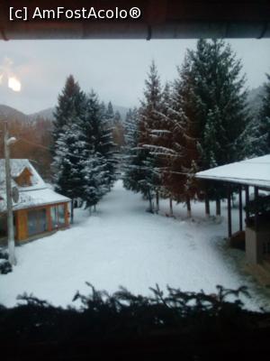 [P04]  -- <small>// FĂRĂ DESCRIERE</small> » foto by Cezarina67
 - 
<span class="allrVoted glyphicon glyphicon-heart hidden" id="av1046841"></span>
<a class="m-l-10 hidden" id="sv1046841" onclick="voting_Foto_DelVot(,1046841,5015)" role="button">șterge vot <span class="glyphicon glyphicon-remove"></span></a>
<a id="v91046841" class=" c-red"  onclick="voting_Foto_SetVot(1046841)" role="button"><span class="glyphicon glyphicon-heart-empty"></span> <b>LIKE</b> = Votează poza</a> <img class="hidden"  id="f1046841W9" src="/imagini/loader.gif" border="0" /><span class="AjErrMes hidden" id="e1046841ErM"></span>