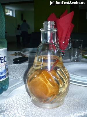 [P14] Palinca » foto by DanaRO
 - 
<span class="allrVoted glyphicon glyphicon-heart hidden" id="av390130"></span>
<a class="m-l-10 hidden" id="sv390130" onclick="voting_Foto_DelVot(,390130,5015)" role="button">șterge vot <span class="glyphicon glyphicon-remove"></span></a>
<a id="v9390130" class=" c-red"  onclick="voting_Foto_SetVot(390130)" role="button"><span class="glyphicon glyphicon-heart-empty"></span> <b>LIKE</b> = Votează poza</a> <img class="hidden"  id="f390130W9" src="/imagini/loader.gif" border="0" /><span class="AjErrMes hidden" id="e390130ErM"></span>