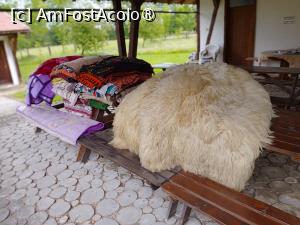 [P05] Cergi și covoare din lână » foto by Mitica49
 - 
<span class="allrVoted glyphicon glyphicon-heart hidden" id="av1472894"></span>
<a class="m-l-10 hidden" id="sv1472894" onclick="voting_Foto_DelVot(,1472894,5029)" role="button">șterge vot <span class="glyphicon glyphicon-remove"></span></a>
<a id="v91472894" class=" c-red"  onclick="voting_Foto_SetVot(1472894)" role="button"><span class="glyphicon glyphicon-heart-empty"></span> <b>LIKE</b> = Votează poza</a> <img class="hidden"  id="f1472894W9" src="/imagini/loader.gif" border="0" /><span class="AjErrMes hidden" id="e1472894ErM"></span>