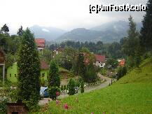 [P04] Gazdele pensiunii au amenajat niste carari, cu bancute din loc in loc, incurajandu-te parca sa te aventureze cativa pasi in sus, sa dai piept cu frumusetea » foto by adriananicoleta
 - 
<span class="allrVoted glyphicon glyphicon-heart hidden" id="av237374"></span>
<a class="m-l-10 hidden" id="sv237374" onclick="voting_Foto_DelVot(,237374,5030)" role="button">șterge vot <span class="glyphicon glyphicon-remove"></span></a>
<a id="v9237374" class=" c-red"  onclick="voting_Foto_SetVot(237374)" role="button"><span class="glyphicon glyphicon-heart-empty"></span> <b>LIKE</b> = Votează poza</a> <img class="hidden"  id="f237374W9" src="/imagini/loader.gif" border="0" /><span class="AjErrMes hidden" id="e237374ErM"></span>