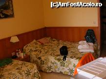 [P10] patul dublu, cu saltea super ortopedica, ne-am indreptat putin spatele. scuzati dezordinea » foto by mickeythecatus
 - 
<span class="allrVoted glyphicon glyphicon-heart hidden" id="av232448"></span>
<a class="m-l-10 hidden" id="sv232448" onclick="voting_Foto_DelVot(,232448,5032)" role="button">șterge vot <span class="glyphicon glyphicon-remove"></span></a>
<a id="v9232448" class=" c-red"  onclick="voting_Foto_SetVot(232448)" role="button"><span class="glyphicon glyphicon-heart-empty"></span> <b>LIKE</b> = Votează poza</a> <img class="hidden"  id="f232448W9" src="/imagini/loader.gif" border="0" /><span class="AjErrMes hidden" id="e232448ErM"></span>