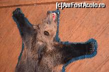 [P14] Un trofeu frumos realizat si conservat, un punct de atractie pentru toti dar mai ales pentru copii. » foto by Basy
 - 
<span class="allrVoted glyphicon glyphicon-heart hidden" id="av303503"></span>
<a class="m-l-10 hidden" id="sv303503" onclick="voting_Foto_DelVot(,303503,5038)" role="button">șterge vot <span class="glyphicon glyphicon-remove"></span></a>
<a id="v9303503" class=" c-red"  onclick="voting_Foto_SetVot(303503)" role="button"><span class="glyphicon glyphicon-heart-empty"></span> <b>LIKE</b> = Votează poza</a> <img class="hidden"  id="f303503W9" src="/imagini/loader.gif" border="0" /><span class="AjErrMes hidden" id="e303503ErM"></span>