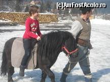 [P36] Acelasi ponei Zorro la datorie! » foto by Basy
 - 
<span class="allrVoted glyphicon glyphicon-heart hidden" id="av304916"></span>
<a class="m-l-10 hidden" id="sv304916" onclick="voting_Foto_DelVot(,304916,5038)" role="button">șterge vot <span class="glyphicon glyphicon-remove"></span></a>
<a id="v9304916" class=" c-red"  onclick="voting_Foto_SetVot(304916)" role="button"><span class="glyphicon glyphicon-heart-empty"></span> <b>LIKE</b> = Votează poza</a> <img class="hidden"  id="f304916W9" src="/imagini/loader.gif" border="0" /><span class="AjErrMes hidden" id="e304916ErM"></span>