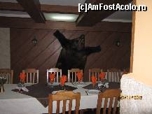 [P02] sala in care se serveste masa, curat si relaxant » foto by man aurel
 - 
<span class="allrVoted glyphicon glyphicon-heart hidden" id="av385770"></span>
<a class="m-l-10 hidden" id="sv385770" onclick="voting_Foto_DelVot(,385770,5038)" role="button">șterge vot <span class="glyphicon glyphicon-remove"></span></a>
<a id="v9385770" class=" c-red"  onclick="voting_Foto_SetVot(385770)" role="button"><span class="glyphicon glyphicon-heart-empty"></span> <b>LIKE</b> = Votează poza</a> <img class="hidden"  id="f385770W9" src="/imagini/loader.gif" border="0" /><span class="AjErrMes hidden" id="e385770ErM"></span>