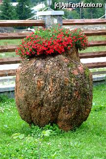 [P46]  -- <small>// FĂRĂ DESCRIERE</small> » foto by corinamaria
 - 
<span class="allrVoted glyphicon glyphicon-heart hidden" id="av87367"></span>
<a class="m-l-10 hidden" id="sv87367" onclick="voting_Foto_DelVot(,87367,5038)" role="button">șterge vot <span class="glyphicon glyphicon-remove"></span></a>
<a id="v987367" class=" c-red"  onclick="voting_Foto_SetVot(87367)" role="button"><span class="glyphicon glyphicon-heart-empty"></span> <b>LIKE</b> = Votează poza</a> <img class="hidden"  id="f87367W9" src="/imagini/loader.gif" border="0" /><span class="AjErrMes hidden" id="e87367ErM"></span>