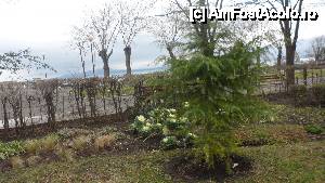 [P25] vegetatia parcului in decembrie » foto by amero
 - 
<span class="allrVoted glyphicon glyphicon-heart hidden" id="av446983"></span>
<a class="m-l-10 hidden" id="sv446983" onclick="voting_Foto_DelVot(,446983,5049)" role="button">șterge vot <span class="glyphicon glyphicon-remove"></span></a>
<a id="v9446983" class=" c-red"  onclick="voting_Foto_SetVot(446983)" role="button"><span class="glyphicon glyphicon-heart-empty"></span> <b>LIKE</b> = Votează poza</a> <img class="hidden"  id="f446983W9" src="/imagini/loader.gif" border="0" /><span class="AjErrMes hidden" id="e446983ErM"></span>