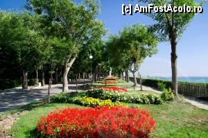 [P16] Aranjamente florale foarte frumoase in parc / foto de pe internet! » foto by Muffin2009*
 - 
<span class="allrVoted glyphicon glyphicon-heart hidden" id="av347767"></span>
<a class="m-l-10 hidden" id="sv347767" onclick="voting_Foto_DelVot(,347767,5049)" role="button">șterge vot <span class="glyphicon glyphicon-remove"></span></a>
<a id="v9347767" class=" c-red"  onclick="voting_Foto_SetVot(347767)" role="button"><span class="glyphicon glyphicon-heart-empty"></span> <b>LIKE</b> = Votează poza</a> <img class="hidden"  id="f347767W9" src="/imagini/loader.gif" border="0" /><span class="AjErrMes hidden" id="e347767ErM"></span>