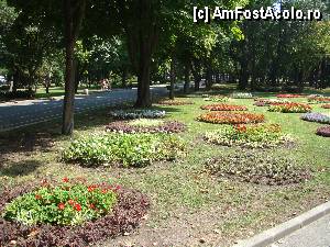 [P19] Aranjamente florale in parc » foto by Muffin2009*
 - 
<span class="allrVoted glyphicon glyphicon-heart hidden" id="av347772"></span>
<a class="m-l-10 hidden" id="sv347772" onclick="voting_Foto_DelVot(,347772,5049)" role="button">șterge vot <span class="glyphicon glyphicon-remove"></span></a>
<a id="v9347772" class=" c-red"  onclick="voting_Foto_SetVot(347772)" role="button"><span class="glyphicon glyphicon-heart-empty"></span> <b>LIKE</b> = Votează poza</a> <img class="hidden"  id="f347772W9" src="/imagini/loader.gif" border="0" /><span class="AjErrMes hidden" id="e347772ErM"></span>