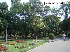 [P21] Pe aleile parcului » foto by Muffin2009*
 - 
<span class="allrVoted glyphicon glyphicon-heart hidden" id="av347774"></span>
<a class="m-l-10 hidden" id="sv347774" onclick="voting_Foto_DelVot(,347774,5049)" role="button">șterge vot <span class="glyphicon glyphicon-remove"></span></a>
<a id="v9347774" class=" c-red"  onclick="voting_Foto_SetVot(347774)" role="button"><span class="glyphicon glyphicon-heart-empty"></span> <b>LIKE</b> = Votează poza</a> <img class="hidden"  id="f347774W9" src="/imagini/loader.gif" border="0" /><span class="AjErrMes hidden" id="e347774ErM"></span>