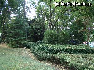 [P25] Flora variata in parc » foto by Muffin2009*
 - 
<span class="allrVoted glyphicon glyphicon-heart hidden" id="av347779"></span>
<a class="m-l-10 hidden" id="sv347779" onclick="voting_Foto_DelVot(,347779,5049)" role="button">șterge vot <span class="glyphicon glyphicon-remove"></span></a>
<a id="v9347779" class=" c-red"  onclick="voting_Foto_SetVot(347779)" role="button"><span class="glyphicon glyphicon-heart-empty"></span> <b>LIKE</b> = Votează poza</a> <img class="hidden"  id="f347779W9" src="/imagini/loader.gif" border="0" /><span class="AjErrMes hidden" id="e347779ErM"></span>