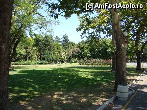 [P30] Pe aleile parcului » foto by Muffin2009*
 - 
<span class="allrVoted glyphicon glyphicon-heart hidden" id="av347785"></span>
<a class="m-l-10 hidden" id="sv347785" onclick="voting_Foto_DelVot(,347785,5049)" role="button">șterge vot <span class="glyphicon glyphicon-remove"></span></a>
<a id="v9347785" class=" c-red"  onclick="voting_Foto_SetVot(347785)" role="button"><span class="glyphicon glyphicon-heart-empty"></span> <b>LIKE</b> = Votează poza</a> <img class="hidden"  id="f347785W9" src="/imagini/loader.gif" border="0" /><span class="AjErrMes hidden" id="e347785ErM"></span>
