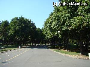 [P37] Pe aleile parcului » foto by Muffin2009*
 - 
<span class="allrVoted glyphicon glyphicon-heart hidden" id="av347793"></span>
<a class="m-l-10 hidden" id="sv347793" onclick="voting_Foto_DelVot(,347793,5049)" role="button">șterge vot <span class="glyphicon glyphicon-remove"></span></a>
<a id="v9347793" class=" c-red"  onclick="voting_Foto_SetVot(347793)" role="button"><span class="glyphicon glyphicon-heart-empty"></span> <b>LIKE</b> = Votează poza</a> <img class="hidden"  id="f347793W9" src="/imagini/loader.gif" border="0" /><span class="AjErrMes hidden" id="e347793ErM"></span>