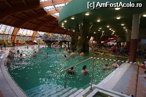 [P01] Aqua Palace Hajdúszoboszló - chiar meria » foto by andi1972
 - 
<span class="allrVoted glyphicon glyphicon-heart hidden" id="av512058"></span>
<a class="m-l-10 hidden" id="sv512058" onclick="voting_Foto_DelVot(,512058,5055)" role="button">șterge vot <span class="glyphicon glyphicon-remove"></span></a>
<a id="v9512058" class=" c-red"  onclick="voting_Foto_SetVot(512058)" role="button"><span class="glyphicon glyphicon-heart-empty"></span> <b>LIKE</b> = Votează poza</a> <img class="hidden"  id="f512058W9" src="/imagini/loader.gif" border="0" /><span class="AjErrMes hidden" id="e512058ErM"></span>