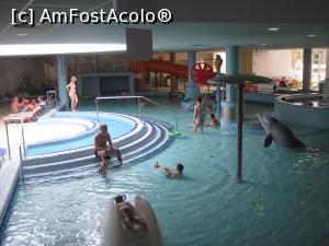 [P29] Aqua Palace Hajduszoboszlo, Piscinele copiilor de la etajul unu » foto by Dana2008
 - 
<span class="allrVoted glyphicon glyphicon-heart hidden" id="av901578"></span>
<a class="m-l-10 hidden" id="sv901578" onclick="voting_Foto_DelVot(,901578,5055)" role="button">șterge vot <span class="glyphicon glyphicon-remove"></span></a>
<a id="v9901578" class=" c-red"  onclick="voting_Foto_SetVot(901578)" role="button"><span class="glyphicon glyphicon-heart-empty"></span> <b>LIKE</b> = Votează poza</a> <img class="hidden"  id="f901578W9" src="/imagini/loader.gif" border="0" /><span class="AjErrMes hidden" id="e901578ErM"></span>