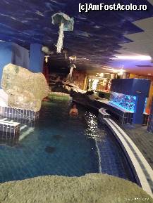 [P10] o imagine ale celor multe piscine » foto by maximus1976
 - 
<span class="allrVoted glyphicon glyphicon-heart hidden" id="av418487"></span>
<a class="m-l-10 hidden" id="sv418487" onclick="voting_Foto_DelVot(,418487,5055)" role="button">șterge vot <span class="glyphicon glyphicon-remove"></span></a>
<a id="v9418487" class=" c-red"  onclick="voting_Foto_SetVot(418487)" role="button"><span class="glyphicon glyphicon-heart-empty"></span> <b>LIKE</b> = Votează poza</a> <img class="hidden"  id="f418487W9" src="/imagini/loader.gif" border="0" /><span class="AjErrMes hidden" id="e418487ErM"></span>