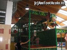 [P11] locul de joaca pentru copii » foto by ghecamelia
 - 
<span class="allrVoted glyphicon glyphicon-heart hidden" id="av110368"></span>
<a class="m-l-10 hidden" id="sv110368" onclick="voting_Foto_DelVot(,110368,5055)" role="button">șterge vot <span class="glyphicon glyphicon-remove"></span></a>
<a id="v9110368" class=" c-red"  onclick="voting_Foto_SetVot(110368)" role="button"><span class="glyphicon glyphicon-heart-empty"></span> <b>LIKE</b> = Votează poza</a> <img class="hidden"  id="f110368W9" src="/imagini/loader.gif" border="0" /><span class="AjErrMes hidden" id="e110368ErM"></span>