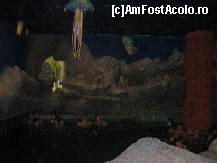 [P05] o baie in care chiar te simteai in lumea subacvatica » foto by ghecamelia
 - 
<span class="allrVoted glyphicon glyphicon-heart hidden" id="av110313"></span>
<a class="m-l-10 hidden" id="sv110313" onclick="voting_Foto_DelVot(,110313,5055)" role="button">șterge vot <span class="glyphicon glyphicon-remove"></span></a>
<a id="v9110313" class=" c-red"  onclick="voting_Foto_SetVot(110313)" role="button"><span class="glyphicon glyphicon-heart-empty"></span> <b>LIKE</b> = Votează poza</a> <img class="hidden"  id="f110313W9" src="/imagini/loader.gif" border="0" /><span class="AjErrMes hidden" id="e110313ErM"></span>