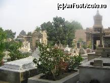 [P15] cimitirul este mic si foarte ingrijit » foto by nicoletass
 - 
<span class="allrVoted glyphicon glyphicon-heart hidden" id="av191984"></span>
<a class="m-l-10 hidden" id="sv191984" onclick="voting_Foto_DelVot(,191984,5067)" role="button">șterge vot <span class="glyphicon glyphicon-remove"></span></a>
<a id="v9191984" class=" c-red"  onclick="voting_Foto_SetVot(191984)" role="button"><span class="glyphicon glyphicon-heart-empty"></span> <b>LIKE</b> = Votează poza</a> <img class="hidden"  id="f191984W9" src="/imagini/loader.gif" border="0" /><span class="AjErrMes hidden" id="e191984ErM"></span>