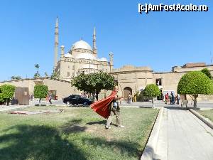 [P13] Saladin atacand... :))  » foto by TraianS
 - 
<span class="allrVoted glyphicon glyphicon-heart hidden" id="av564903"></span>
<a class="m-l-10 hidden" id="sv564903" onclick="voting_Foto_DelVot(,564903,5067)" role="button">șterge vot <span class="glyphicon glyphicon-remove"></span></a>
<a id="v9564903" class=" c-red"  onclick="voting_Foto_SetVot(564903)" role="button"><span class="glyphicon glyphicon-heart-empty"></span> <b>LIKE</b> = Votează poza</a> <img class="hidden"  id="f564903W9" src="/imagini/loader.gif" border="0" /><span class="AjErrMes hidden" id="e564903ErM"></span>