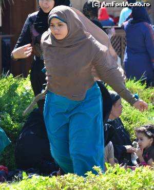[P17] Oameni.  » foto by TraianS
 - 
<span class="allrVoted glyphicon glyphicon-heart hidden" id="av565102"></span>
<a class="m-l-10 hidden" id="sv565102" onclick="voting_Foto_DelVot(,565102,5067)" role="button">șterge vot <span class="glyphicon glyphicon-remove"></span></a>
<a id="v9565102" class=" c-red"  onclick="voting_Foto_SetVot(565102)" role="button"><span class="glyphicon glyphicon-heart-empty"></span> <b>LIKE</b> = Votează poza</a> <img class="hidden"  id="f565102W9" src="/imagini/loader.gif" border="0" /><span class="AjErrMes hidden" id="e565102ErM"></span>