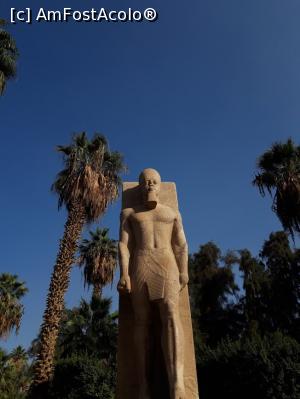 [P31] Memphis, statuie a lui Ramses » foto by Enki
 - 
<span class="allrVoted glyphicon glyphicon-heart hidden" id="av1208327"></span>
<a class="m-l-10 hidden" id="sv1208327" onclick="voting_Foto_DelVot(,1208327,5067)" role="button">șterge vot <span class="glyphicon glyphicon-remove"></span></a>
<a id="v91208327" class=" c-red"  onclick="voting_Foto_SetVot(1208327)" role="button"><span class="glyphicon glyphicon-heart-empty"></span> <b>LIKE</b> = Votează poza</a> <img class="hidden"  id="f1208327W9" src="/imagini/loader.gif" border="0" /><span class="AjErrMes hidden" id="e1208327ErM"></span>