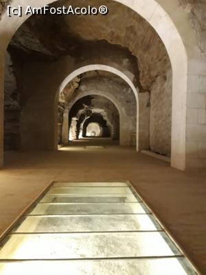 [P08] Serapeum, unul din culoare » foto by Enki
 - 
<span class="allrVoted glyphicon glyphicon-heart hidden" id="av1208132"></span>
<a class="m-l-10 hidden" id="sv1208132" onclick="voting_Foto_DelVot(,1208132,5067)" role="button">șterge vot <span class="glyphicon glyphicon-remove"></span></a>
<a id="v91208132" class=" c-red"  onclick="voting_Foto_SetVot(1208132)" role="button"><span class="glyphicon glyphicon-heart-empty"></span> <b>LIKE</b> = Votează poza</a> <img class="hidden"  id="f1208132W9" src="/imagini/loader.gif" border="0" /><span class="AjErrMes hidden" id="e1208132ErM"></span>