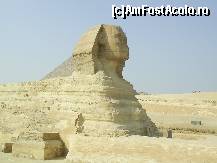 [P20] Cairo - Sfinxul. » foto by iulianic
 - 
<span class="allrVoted glyphicon glyphicon-heart hidden" id="av298232"></span>
<a class="m-l-10 hidden" id="sv298232" onclick="voting_Foto_DelVot(,298232,5067)" role="button">șterge vot <span class="glyphicon glyphicon-remove"></span></a>
<a id="v9298232" class=" c-red"  onclick="voting_Foto_SetVot(298232)" role="button"><span class="glyphicon glyphicon-heart-empty"></span> <b>LIKE</b> = Votează poza</a> <img class="hidden"  id="f298232W9" src="/imagini/loader.gif" border="0" /><span class="AjErrMes hidden" id="e298232ErM"></span>
