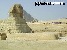 [P22] Cairo - Sfinxul. » foto by iulianic
 - 
<span class="allrVoted glyphicon glyphicon-heart hidden" id="av298234"></span>
<a class="m-l-10 hidden" id="sv298234" onclick="voting_Foto_DelVot(,298234,5067)" role="button">șterge vot <span class="glyphicon glyphicon-remove"></span></a>
<a id="v9298234" class=" c-red"  onclick="voting_Foto_SetVot(298234)" role="button"><span class="glyphicon glyphicon-heart-empty"></span> <b>LIKE</b> = Votează poza</a> <img class="hidden"  id="f298234W9" src="/imagini/loader.gif" border="0" /><span class="AjErrMes hidden" id="e298234ErM"></span>