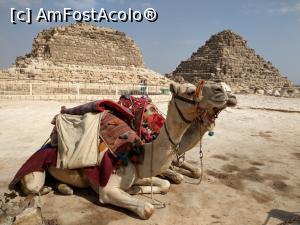 [P09] Platoul Giza, la piramide. » foto by maryka
 - 
<span class="allrVoted glyphicon glyphicon-heart hidden" id="av1223079"></span>
<a class="m-l-10 hidden" id="sv1223079" onclick="voting_Foto_DelVot(,1223079,5067)" role="button">șterge vot <span class="glyphicon glyphicon-remove"></span></a>
<a id="v91223079" class=" c-red"  onclick="voting_Foto_SetVot(1223079)" role="button"><span class="glyphicon glyphicon-heart-empty"></span> <b>LIKE</b> = Votează poza</a> <img class="hidden"  id="f1223079W9" src="/imagini/loader.gif" border="0" /><span class="AjErrMes hidden" id="e1223079ErM"></span>