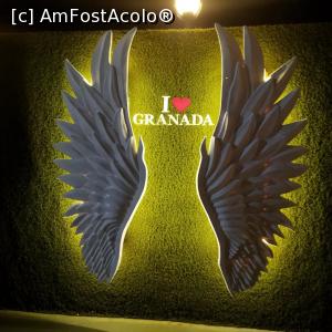 [P17]  -- <small>// FĂRĂ DESCRIERE</small> » foto by TIIDIDA
 - 
<span class="allrVoted glyphicon glyphicon-heart hidden" id="av1307543"></span>
<a class="m-l-10 hidden" id="sv1307543" onclick="voting_Foto_DelVot(,1307543,5069)" role="button">șterge vot <span class="glyphicon glyphicon-remove"></span></a>
<a id="v91307543" class=" c-red"  onclick="voting_Foto_SetVot(1307543)" role="button"><span class="glyphicon glyphicon-heart-empty"></span> <b>LIKE</b> = Votează poza</a> <img class="hidden"  id="f1307543W9" src="/imagini/loader.gif" border="0" /><span class="AjErrMes hidden" id="e1307543ErM"></span>