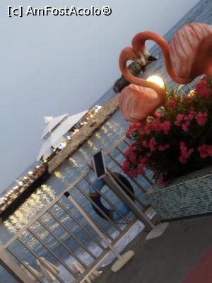 [P27]  -- <small>// FĂRĂ DESCRIERE</small> » foto by TIIDIDA
 - 
<span class="allrVoted glyphicon glyphicon-heart hidden" id="av1307553"></span>
<a class="m-l-10 hidden" id="sv1307553" onclick="voting_Foto_DelVot(,1307553,5069)" role="button">șterge vot <span class="glyphicon glyphicon-remove"></span></a>
<a id="v91307553" class=" c-red"  onclick="voting_Foto_SetVot(1307553)" role="button"><span class="glyphicon glyphicon-heart-empty"></span> <b>LIKE</b> = Votează poza</a> <img class="hidden"  id="f1307553W9" src="/imagini/loader.gif" border="0" /><span class="AjErrMes hidden" id="e1307553ErM"></span>