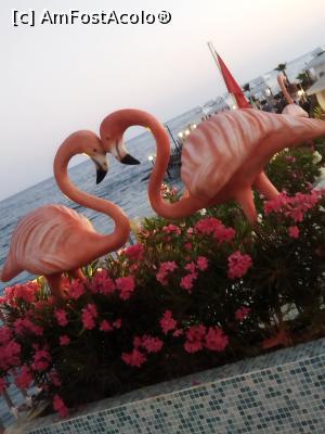 [P28]  -- <small>// FĂRĂ DESCRIERE</small> » foto by TIIDIDA
 - 
<span class="allrVoted glyphicon glyphicon-heart hidden" id="av1307554"></span>
<a class="m-l-10 hidden" id="sv1307554" onclick="voting_Foto_DelVot(,1307554,5069)" role="button">șterge vot <span class="glyphicon glyphicon-remove"></span></a>
<a id="v91307554" class=" c-red"  onclick="voting_Foto_SetVot(1307554)" role="button"><span class="glyphicon glyphicon-heart-empty"></span> <b>LIKE</b> = Votează poza</a> <img class="hidden"  id="f1307554W9" src="/imagini/loader.gif" border="0" /><span class="AjErrMes hidden" id="e1307554ErM"></span>