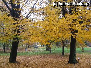 [P13] Toamna in parcul Bailor Cetatii » foto by Ricone
 - 
<span class="allrVoted glyphicon glyphicon-heart hidden" id="av389827"></span>
<a class="m-l-10 hidden" id="sv389827" onclick="voting_Foto_DelVot(,389827,5072)" role="button">șterge vot <span class="glyphicon glyphicon-remove"></span></a>
<a id="v9389827" class=" c-red"  onclick="voting_Foto_SetVot(389827)" role="button"><span class="glyphicon glyphicon-heart-empty"></span> <b>LIKE</b> = Votează poza</a> <img class="hidden"  id="f389827W9" src="/imagini/loader.gif" border="0" /><span class="AjErrMes hidden" id="e389827ErM"></span>