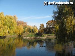 [P05] Toamna tarzie in parcul Cetatii » foto by Ricone
 - 
<span class="allrVoted glyphicon glyphicon-heart hidden" id="av389819"></span>
<a class="m-l-10 hidden" id="sv389819" onclick="voting_Foto_DelVot(,389819,5072)" role="button">șterge vot <span class="glyphicon glyphicon-remove"></span></a>
<a id="v9389819" class=" c-red"  onclick="voting_Foto_SetVot(389819)" role="button"><span class="glyphicon glyphicon-heart-empty"></span> <b>LIKE</b> = Votează poza</a> <img class="hidden"  id="f389819W9" src="/imagini/loader.gif" border="0" /><span class="AjErrMes hidden" id="e389819ErM"></span>