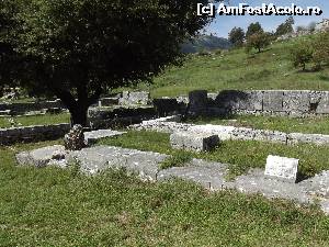 [P29] Templul cel nou al Dionei aşezat lângă Casa Sacră, stejarul actual fiind martorul reconstrucţiei sitului de la Dodona » foto by irinad
 - 
<span class="allrVoted glyphicon glyphicon-heart hidden" id="av624698"></span>
<a class="m-l-10 hidden" id="sv624698" onclick="voting_Foto_DelVot(,624698,5075)" role="button">șterge vot <span class="glyphicon glyphicon-remove"></span></a>
<a id="v9624698" class=" c-red"  onclick="voting_Foto_SetVot(624698)" role="button"><span class="glyphicon glyphicon-heart-empty"></span> <b>LIKE</b> = Votează poza</a> <img class="hidden"  id="f624698W9" src="/imagini/loader.gif" border="0" /><span class="AjErrMes hidden" id="e624698ErM"></span>