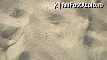 [P11] Nisipul fara scoici, fin.  » foto by vacantamea2012
 - 
<span class="allrVoted glyphicon glyphicon-heart hidden" id="av335922"></span>
<a class="m-l-10 hidden" id="sv335922" onclick="voting_Foto_DelVot(,335922,5081)" role="button">șterge vot <span class="glyphicon glyphicon-remove"></span></a>
<a id="v9335922" class=" c-red"  onclick="voting_Foto_SetVot(335922)" role="button"><span class="glyphicon glyphicon-heart-empty"></span> <b>LIKE</b> = Votează poza</a> <img class="hidden"  id="f335922W9" src="/imagini/loader.gif" border="0" /><span class="AjErrMes hidden" id="e335922ErM"></span>