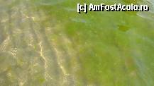 [P15] Intrare lina, doar ca avem alge.  » foto by vacantamea2012
 - 
<span class="allrVoted glyphicon glyphicon-heart hidden" id="av335927"></span>
<a class="m-l-10 hidden" id="sv335927" onclick="voting_Foto_DelVot(,335927,5081)" role="button">șterge vot <span class="glyphicon glyphicon-remove"></span></a>
<a id="v9335927" class=" c-red"  onclick="voting_Foto_SetVot(335927)" role="button"><span class="glyphicon glyphicon-heart-empty"></span> <b>LIKE</b> = Votează poza</a> <img class="hidden"  id="f335927W9" src="/imagini/loader.gif" border="0" /><span class="AjErrMes hidden" id="e335927ErM"></span>