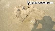 [P16] Nisip fara scoici.  » foto by vacantamea2012
 - 
<span class="allrVoted glyphicon glyphicon-heart hidden" id="av335928"></span>
<a class="m-l-10 hidden" id="sv335928" onclick="voting_Foto_DelVot(,335928,5081)" role="button">șterge vot <span class="glyphicon glyphicon-remove"></span></a>
<a id="v9335928" class=" c-red"  onclick="voting_Foto_SetVot(335928)" role="button"><span class="glyphicon glyphicon-heart-empty"></span> <b>LIKE</b> = Votează poza</a> <img class="hidden"  id="f335928W9" src="/imagini/loader.gif" border="0" /><span class="AjErrMes hidden" id="e335928ErM"></span>
