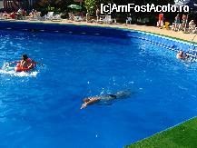 [P03] din nou la piscina » foto by mona28
 - 
<span class="allrVoted glyphicon glyphicon-heart hidden" id="av54030"></span>
<a class="m-l-10 hidden" id="sv54030" onclick="voting_Foto_DelVot(,54030,5082)" role="button">șterge vot <span class="glyphicon glyphicon-remove"></span></a>
<a id="v954030" class=" c-red"  onclick="voting_Foto_SetVot(54030)" role="button"><span class="glyphicon glyphicon-heart-empty"></span> <b>LIKE</b> = Votează poza</a> <img class="hidden"  id="f54030W9" src="/imagini/loader.gif" border="0" /><span class="AjErrMes hidden" id="e54030ErM"></span>