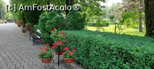 [P21] Grădina Botanică Anastasie Fătu » foto by Carmen Ion
 - 
<span class="allrVoted glyphicon glyphicon-heart hidden" id="av1495692"></span>
<a class="m-l-10 hidden" id="sv1495692" onclick="voting_Foto_DelVot(,1495692,5091)" role="button">șterge vot <span class="glyphicon glyphicon-remove"></span></a>
<a id="v91495692" class=" c-red"  onclick="voting_Foto_SetVot(1495692)" role="button"><span class="glyphicon glyphicon-heart-empty"></span> <b>LIKE</b> = Votează poza</a> <img class="hidden"  id="f1495692W9" src="/imagini/loader.gif" border="0" /><span class="AjErrMes hidden" id="e1495692ErM"></span>