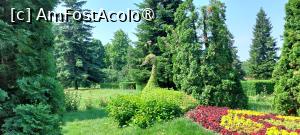 [P23] Grădina Botanică Anastasie Fătu » foto by Carmen Ion
 - 
<span class="allrVoted glyphicon glyphicon-heart hidden" id="av1495694"></span>
<a class="m-l-10 hidden" id="sv1495694" onclick="voting_Foto_DelVot(,1495694,5091)" role="button">șterge vot <span class="glyphicon glyphicon-remove"></span></a>
<a id="v91495694" class=" c-red"  onclick="voting_Foto_SetVot(1495694)" role="button"><span class="glyphicon glyphicon-heart-empty"></span> <b>LIKE</b> = Votează poza</a> <img class="hidden"  id="f1495694W9" src="/imagini/loader.gif" border="0" /><span class="AjErrMes hidden" id="e1495694ErM"></span>