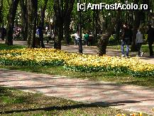 [P05] Lalele in Parcul Expozitiei Iasi » foto by mario 110
 - 
<span class="allrVoted glyphicon glyphicon-heart hidden" id="av68949"></span>
<a class="m-l-10 hidden" id="sv68949" onclick="voting_Foto_DelVot(,68949,5091)" role="button">șterge vot <span class="glyphicon glyphicon-remove"></span></a>
<a id="v968949" class=" c-red"  onclick="voting_Foto_SetVot(68949)" role="button"><span class="glyphicon glyphicon-heart-empty"></span> <b>LIKE</b> = Votează poza</a> <img class="hidden"  id="f68949W9" src="/imagini/loader.gif" border="0" /><span class="AjErrMes hidden" id="e68949ErM"></span>