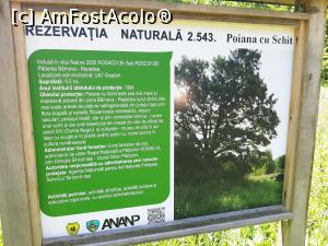 [P27] Poiana cu Schit » foto by adso
 - 
<span class="allrVoted glyphicon glyphicon-heart hidden" id="av1389894"></span>
<a class="m-l-10 hidden" id="sv1389894" onclick="voting_Foto_DelVot(,1389894,5091)" role="button">șterge vot <span class="glyphicon glyphicon-remove"></span></a>
<a id="v91389894" class=" c-red"  onclick="voting_Foto_SetVot(1389894)" role="button"><span class="glyphicon glyphicon-heart-empty"></span> <b>LIKE</b> = Votează poza</a> <img class="hidden"  id="f1389894W9" src="/imagini/loader.gif" border="0" /><span class="AjErrMes hidden" id="e1389894ErM"></span>