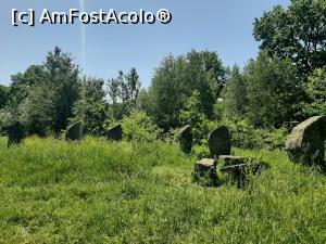 [P33] Poiana cu Schit » foto by adso
 - 
<span class="allrVoted glyphicon glyphicon-heart hidden" id="av1389900"></span>
<a class="m-l-10 hidden" id="sv1389900" onclick="voting_Foto_DelVot(,1389900,5091)" role="button">șterge vot <span class="glyphicon glyphicon-remove"></span></a>
<a id="v91389900" class=" c-red"  onclick="voting_Foto_SetVot(1389900)" role="button"><span class="glyphicon glyphicon-heart-empty"></span> <b>LIKE</b> = Votează poza</a> <img class="hidden"  id="f1389900W9" src="/imagini/loader.gif" border="0" /><span class="AjErrMes hidden" id="e1389900ErM"></span>