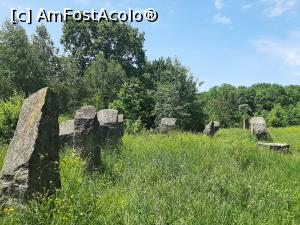 [P34] Poiana cu Schit » foto by adso
 - 
<span class="allrVoted glyphicon glyphicon-heart hidden" id="av1389901"></span>
<a class="m-l-10 hidden" id="sv1389901" onclick="voting_Foto_DelVot(,1389901,5091)" role="button">șterge vot <span class="glyphicon glyphicon-remove"></span></a>
<a id="v91389901" class=" c-red"  onclick="voting_Foto_SetVot(1389901)" role="button"><span class="glyphicon glyphicon-heart-empty"></span> <b>LIKE</b> = Votează poza</a> <img class="hidden"  id="f1389901W9" src="/imagini/loader.gif" border="0" /><span class="AjErrMes hidden" id="e1389901ErM"></span>