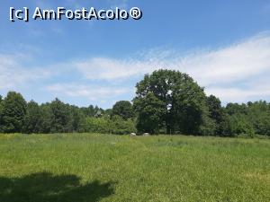 [P35] Poiana cu Schit » foto by adso
 - 
<span class="allrVoted glyphicon glyphicon-heart hidden" id="av1389902"></span>
<a class="m-l-10 hidden" id="sv1389902" onclick="voting_Foto_DelVot(,1389902,5091)" role="button">șterge vot <span class="glyphicon glyphicon-remove"></span></a>
<a id="v91389902" class=" c-red"  onclick="voting_Foto_SetVot(1389902)" role="button"><span class="glyphicon glyphicon-heart-empty"></span> <b>LIKE</b> = Votează poza</a> <img class="hidden"  id="f1389902W9" src="/imagini/loader.gif" border="0" /><span class="AjErrMes hidden" id="e1389902ErM"></span>