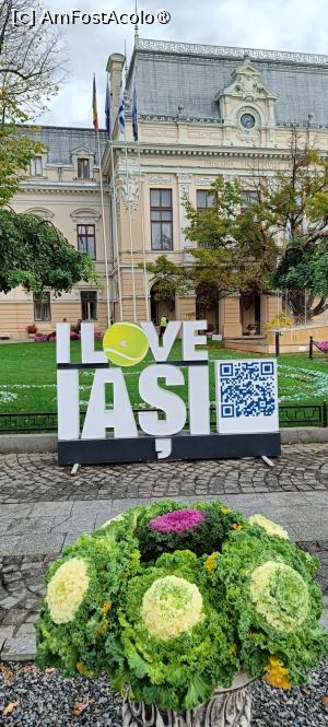 [P01] Primăria Municipiului Iași. » foto by tata123 🔱
 - 
<span class="allrVoted glyphicon glyphicon-heart hidden" id="av1416078"></span>
<a class="m-l-10 hidden" id="sv1416078" onclick="voting_Foto_DelVot(,1416078,5091)" role="button">șterge vot <span class="glyphicon glyphicon-remove"></span></a>
<a id="v91416078" class=" c-red"  onclick="voting_Foto_SetVot(1416078)" role="button"><span class="glyphicon glyphicon-heart-empty"></span> <b>LIKE</b> = Votează poza</a> <img class="hidden"  id="f1416078W9" src="/imagini/loader.gif" border="0" /><span class="AjErrMes hidden" id="e1416078ErM"></span>